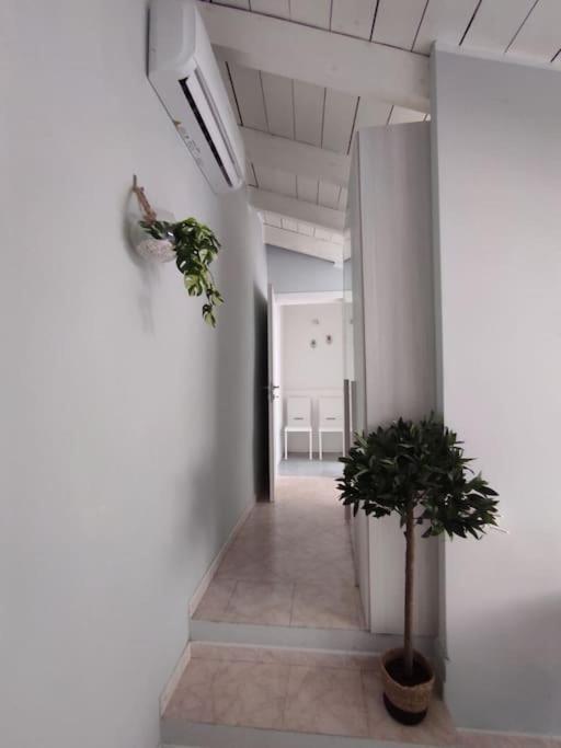 Free Parking Tiny House Wifi Netflix 15 Minuti Dal Duomo Διαμέρισμα Μιλάνο Εξωτερικό φωτογραφία